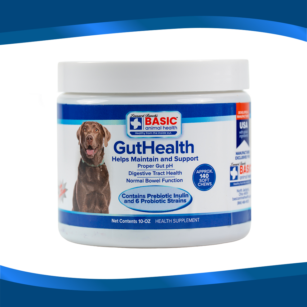 View of GutHealth - All Natural probiotics improve digestive health for dogs.