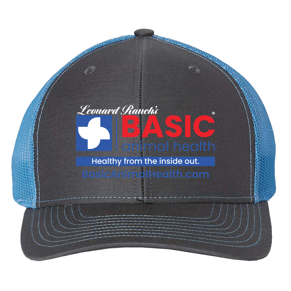 Basic Logo Richardson 112 Hats