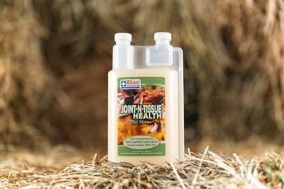 Joint-N-Tissue Health for Horses