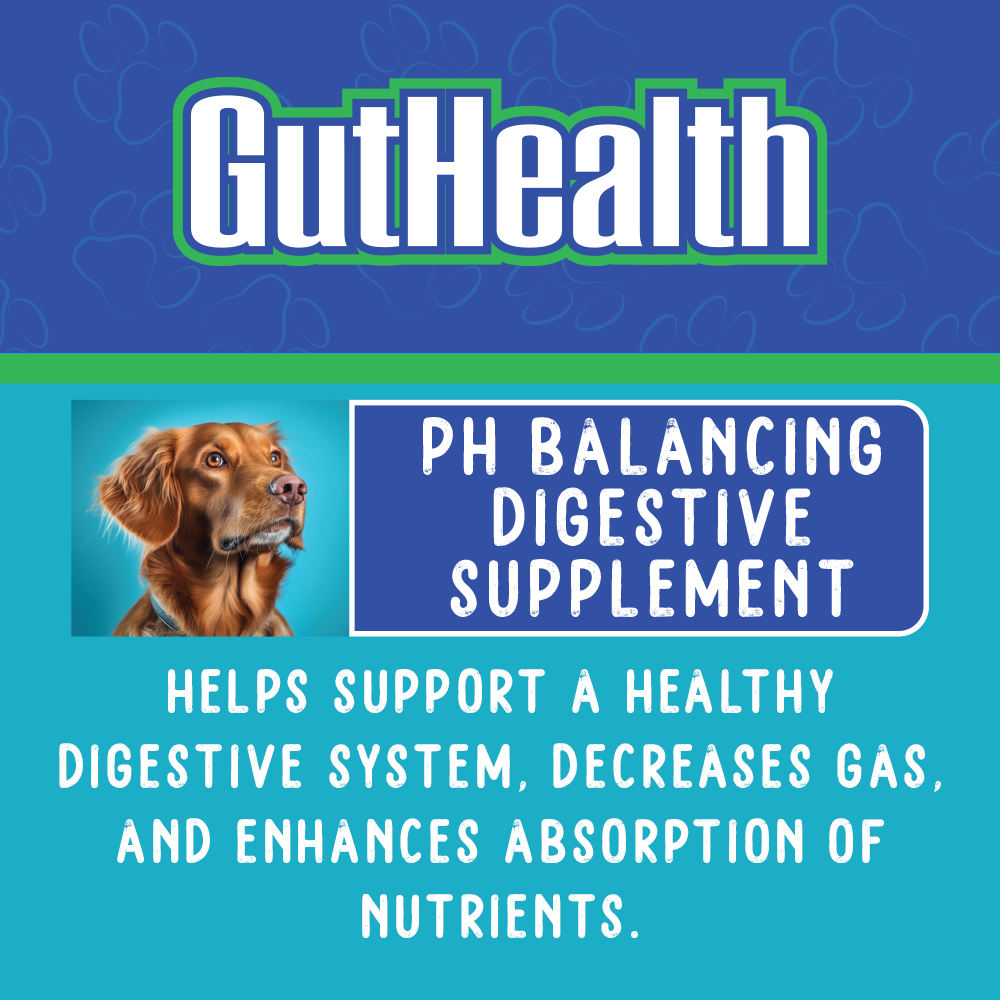 GutHealth Xtra Strength for Dogs