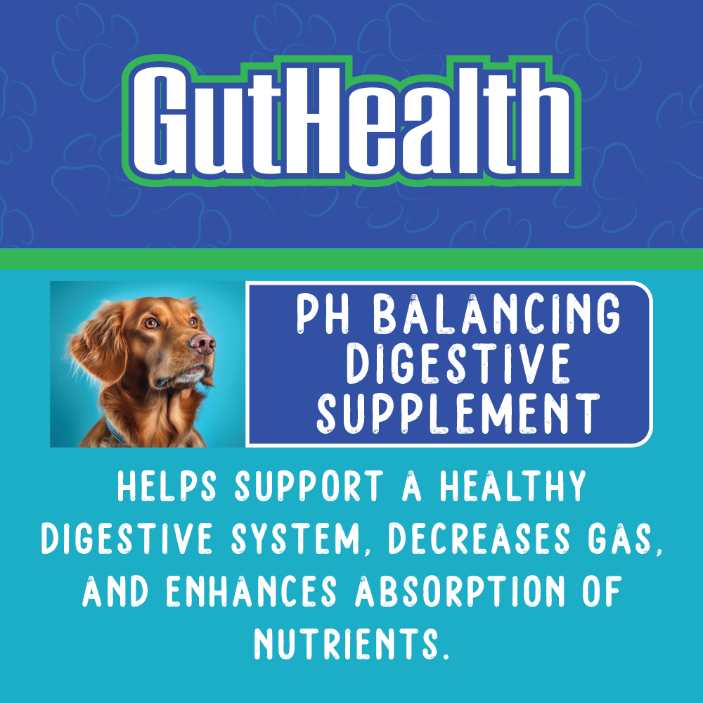 GutHealth - All Natural probiotics improve digestive health for dogs.
