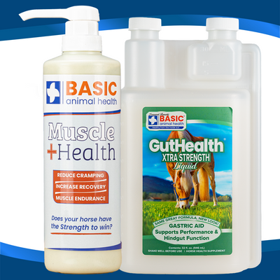 Bundle - Joint & Muscle Support