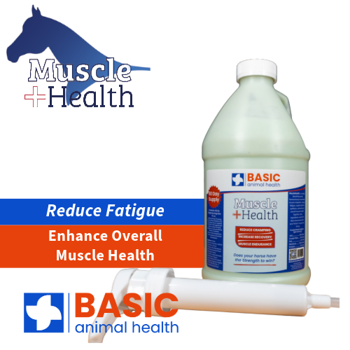 MuscleHealth Gel for Horses - 64 fl. oz.