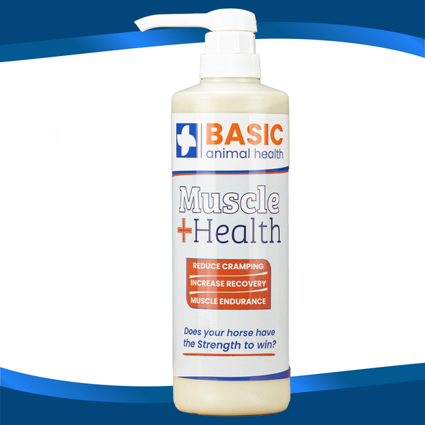 l-carnitine horse supplement Muscle Health Horse Supplement Gel: Unlock Their Full Potential