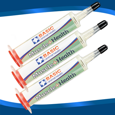 MuscleHealth Gel - 3 Pack