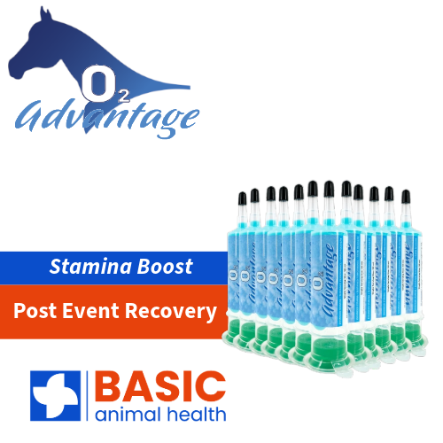 O2 Advantage Supplement for Horses