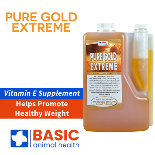 Healthy Every Day Horse Gift Bag