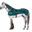 BEMER Horse Premium Bundle