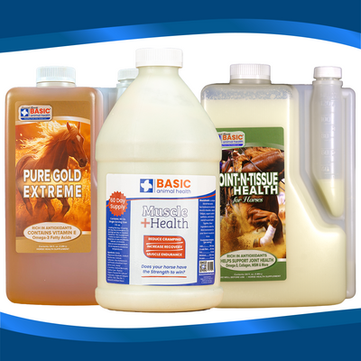 Bundle - Ultimate Performance Trio