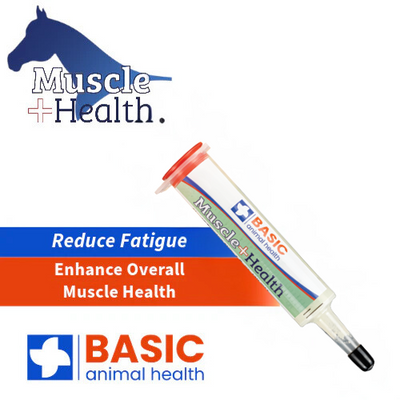 MuscleHealth Gel Supplement for Horses