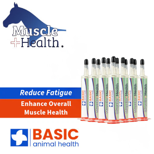 MuscleHealth Gel Supplement for Horses