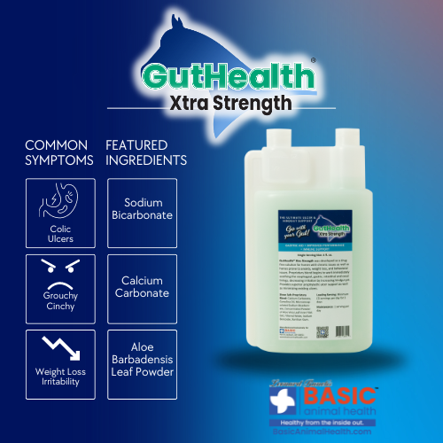 GutHealth Xtra Strength Liquid Supplement for Horses