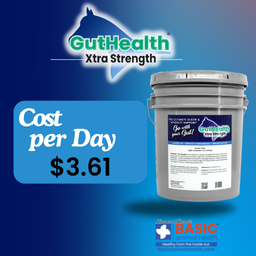 GutHealth Xtra Strength Pellets Supplement for Horses