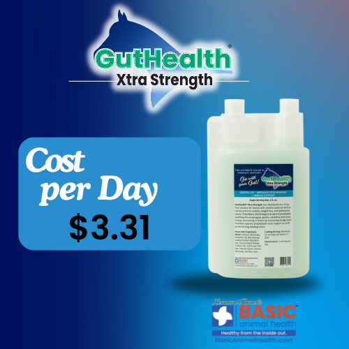 GutHealth Xtra Strength Liquid Supplement for Horses