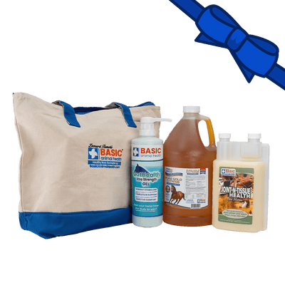 Healthy Every Day Horse Gift Bag