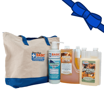 Healthy Every Day Horse Gift Bag