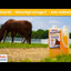 Basic Animal Health Pure Gold Extreme Horse Supplement