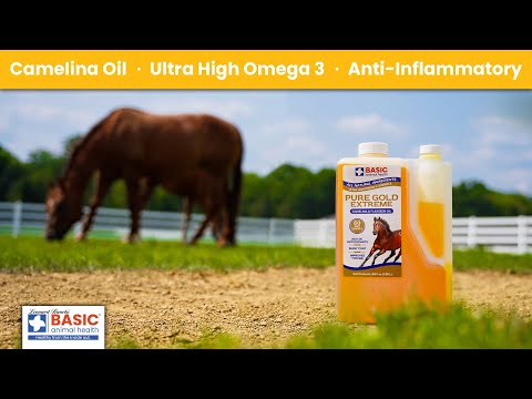 Basic Animal Health Pure Gold Extreme Horse Supplement