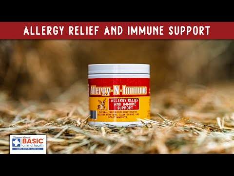 Allergy and Immune Treats for Dogs