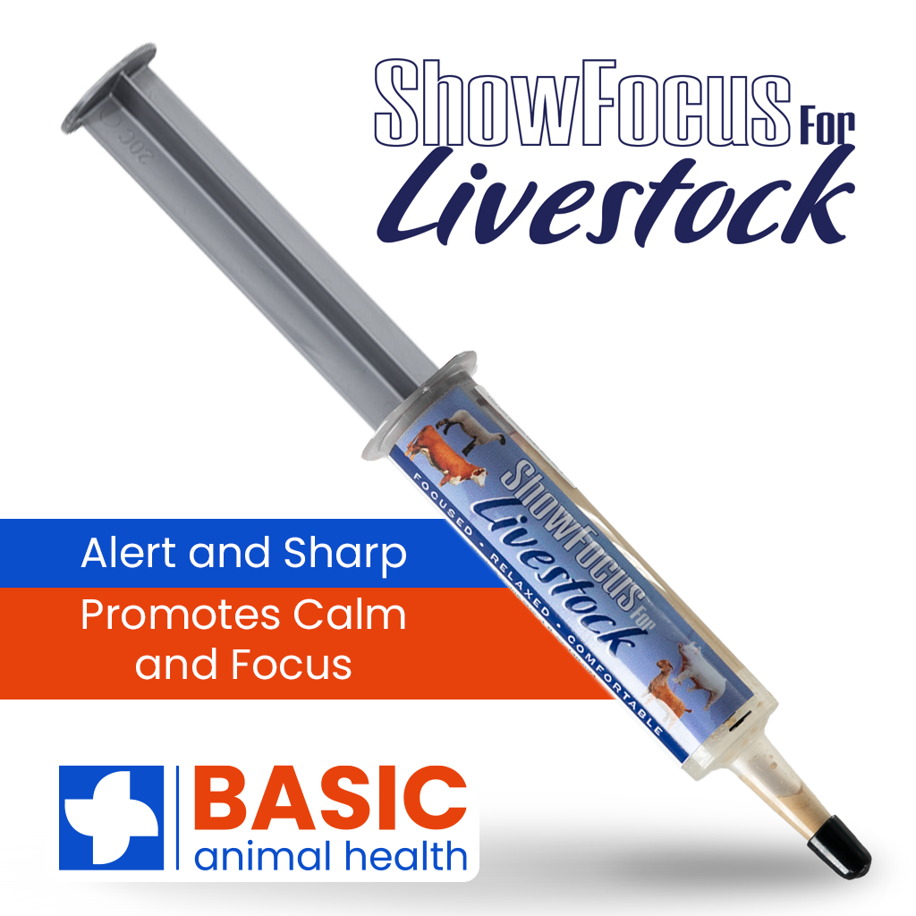 ShowFocus Xtra Strength Gel Supplement for Livestock